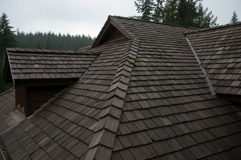 Benefits Of Cedar Shake Roof Replacement For Natural Curb Appeal